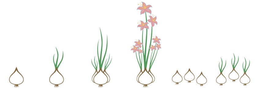 Philosophical Concept