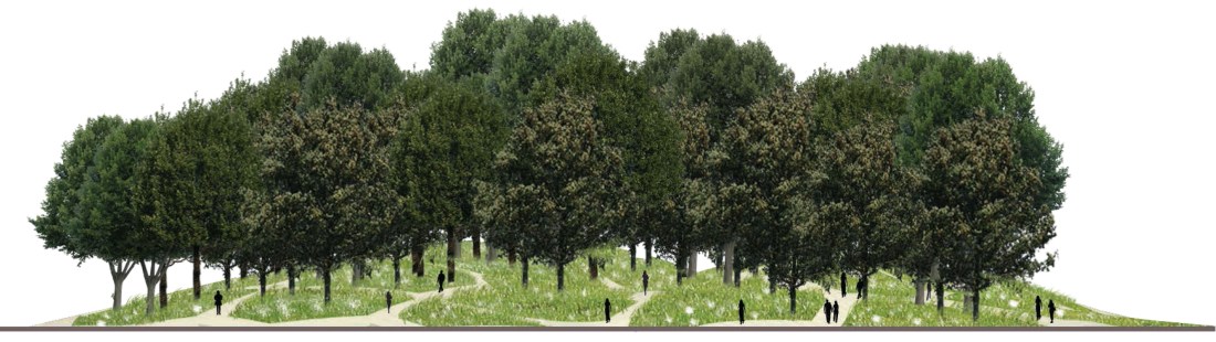 Sideview Voronoi Forest