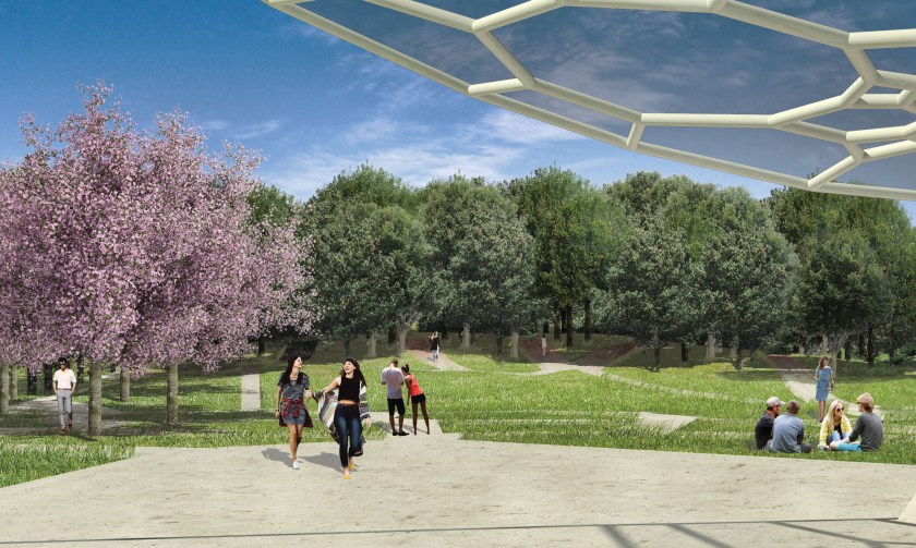 Visual Voronoi Forest