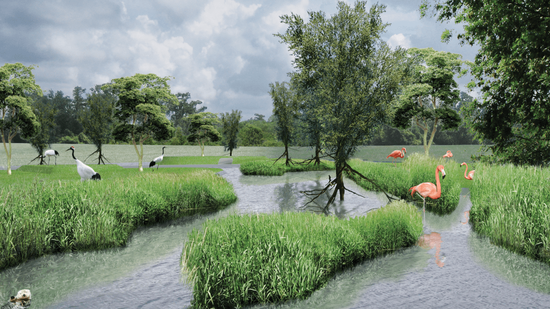 open-tropical-dutch-mangrove