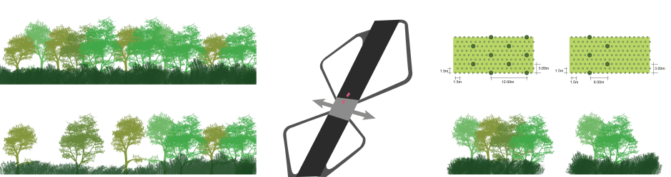 planting-personnen-forest